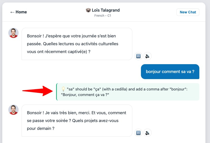 Grammatical Corrections